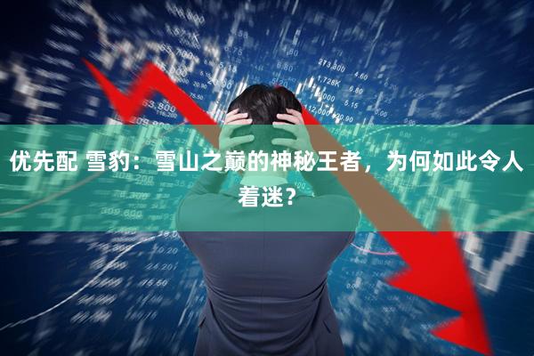 优先配 雪豹：雪山之巅的神秘王者，为何如此令人着迷？
