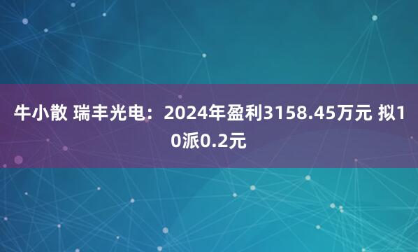 牛小散 瑞丰光电：2024年盈利3158.45万元 拟10派0.2元