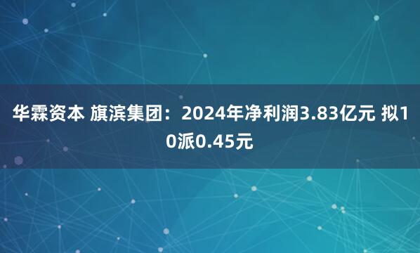 华霖资本 旗滨集团：2024年净利润3.83亿元 拟10派0.45元