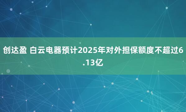 创达盈 白云电器预计2025年对外担保额度不超过6.13亿
