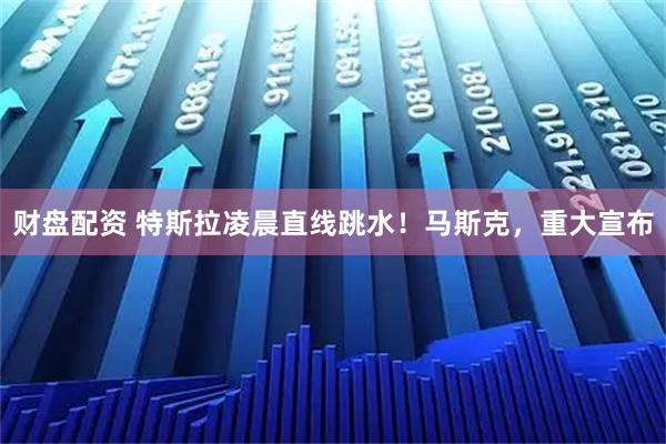 财盘配资 特斯拉凌晨直线跳水!马斯克,重大宣布