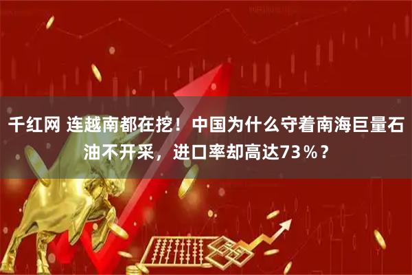 千红网 连越南都在挖！中国为什么守着南海巨量石油不开采，进口率却高达73％？